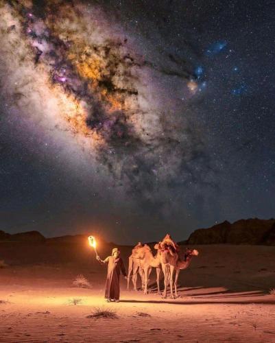 a man with a group of camels in the desert at night at Sun Luxury Rum Camp in Wadi Rum