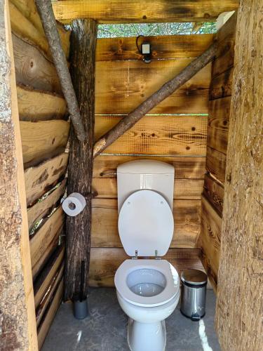 a bathroom with a toilet in a log cabin at ECO Camp Supot in Šmarje