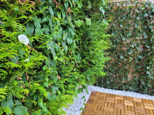 a wall covered in green plants and a wooden walkway at Cosy Paris CDG Stade de France in Le Blanc-Mesnil