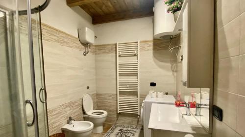 a bathroom with a toilet and a sink and a shower at Fadda Holiday House - Managed By Antonio Sanna in Austis