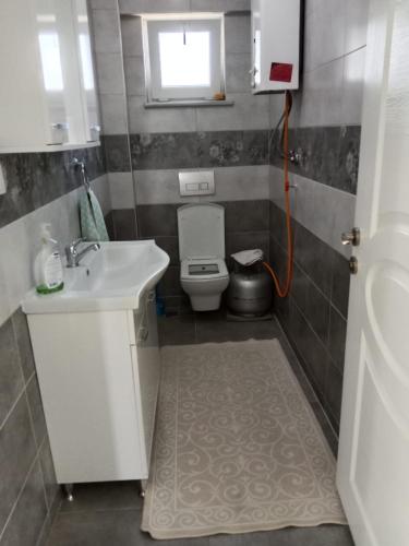 a small bathroom with a sink and a toilet at Çetin apart in Ezine