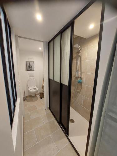 een badkamer met een toilet en een inloopdouche bij La Picardière in Perdreauville