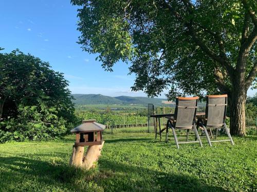 two chairs and a table and a bird house in the grass at A Vidám Vándor Vendégház in Zalaszántó