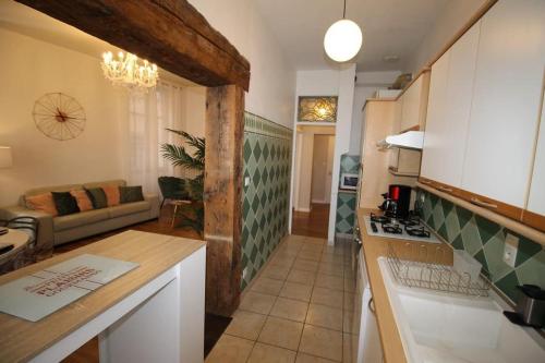 una cocina y una sala de estar con encimera y una cocina sidx sidx sidx en Hypercentre (avec parking), rare avec 3 chambres 3 salles d’eau, en Albi