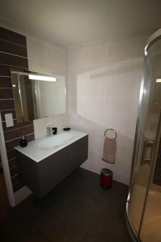 une salle de bain avec un lavabo et un miroir dans l'établissement Hypercentre (avec parking), rare avec 3 chambres 3 salles d’eau, à Albi