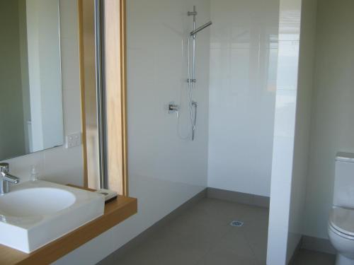 a bathroom with a shower and a sink and a toilet at Big Sky Nelson Luxury Eco B&B in Nelson