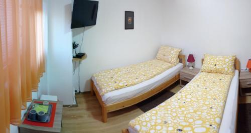 Cette chambre comprend 2 lits et une télévision. dans l'établissement Sobe Ana, à Sombor