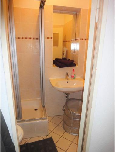 a bathroom with a sink and a shower next to a toilet at WonderFlat for Wonderful people in Berlin