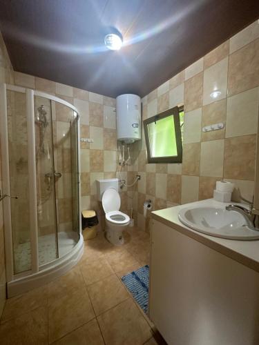 a bathroom with a shower and a toilet and a sink at Sunset By The Lake Ponton Bicaz in Bicaz