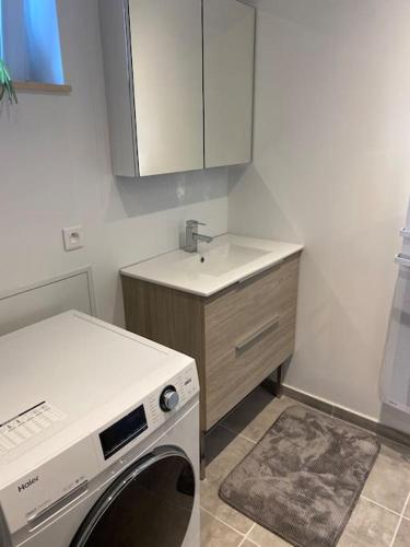 une cuisine avec une machine à laver et un évier dans l'établissement 2 Gîtes 5 chambres, à Blaringhem