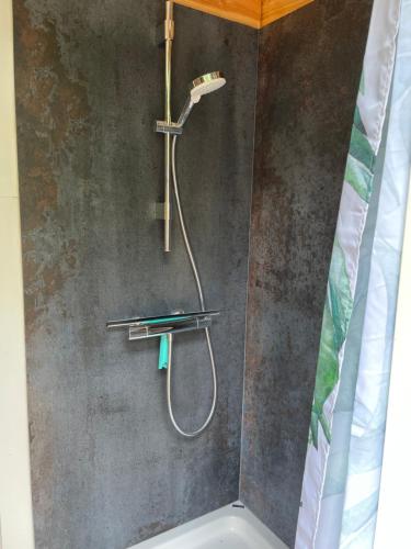 a shower with a shower head in a bathroom at Hyggelig country Lodge in Stenstrup