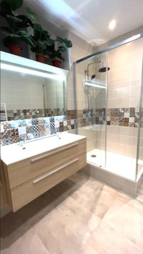une salle de bain avec une douche, un lavabo et un miroir dans l'établissement T4 atypique plein centre ville classé 3 étoiles, à Sète