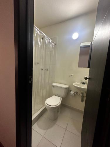 a bathroom with a toilet and a shower and a sink at Hotel Artistico in Bogotá