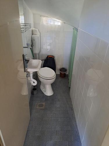 a small bathroom with a toilet and a sink at Kuća za odmor "Dida Pere" in Zaton