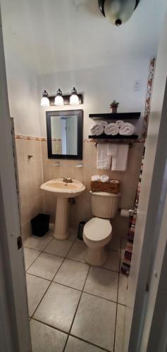 W łazience znajduje się toaleta, umywalka i lustro. w obiekcie Cozy Cute Home 2nd floor w mieście Fajardo