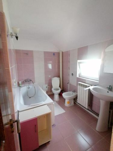 a bathroom with a tub and a toilet and a sink at Casa Meresanu in Zărneşti
