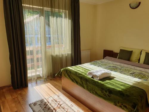sypialnia z łóżkiem i dużym oknem w obiekcie Vila Iulia w mieście Bran