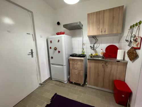 a small kitchen with a white refrigerator and wooden cabinets at Ana in Paraćin
