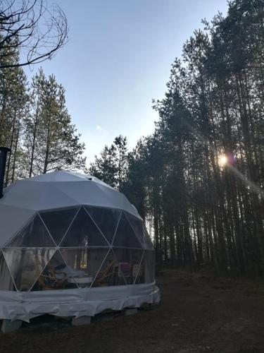 a tent in a field with trees in the background at Glamping Drzwi Do Lasu in Supraśl