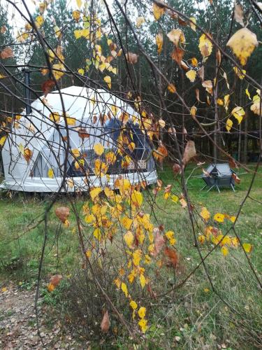 Glamping Drzwi Do Lasu