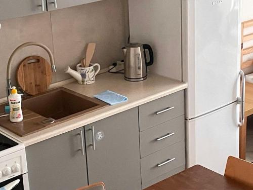 a small kitchen with a sink and a refrigerator at Loft B - duża przestrzeń, cisza, szybki internet in Krakow