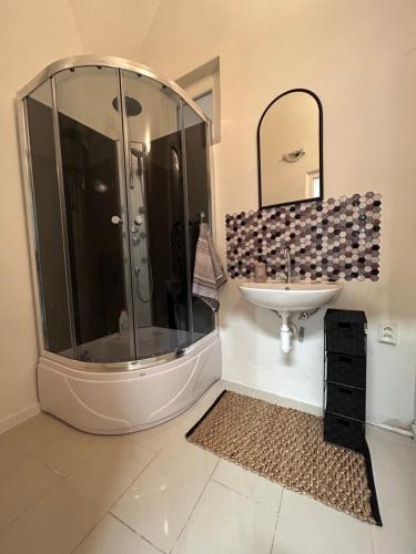 a bathroom with a shower and a sink and a mirror at BEST VIEW in the Heart of Kosice in Košice