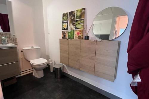 La salle de bains est pourvue de toilettes et d'un miroir. dans l'établissement Magnifique Duplex Choisy le roi avec parking, à Choisy-le-Roi
