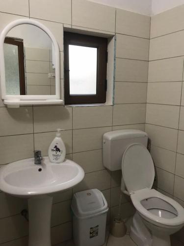a bathroom with a sink and a toilet and a mirror at Guest House Ledio in Valbonë