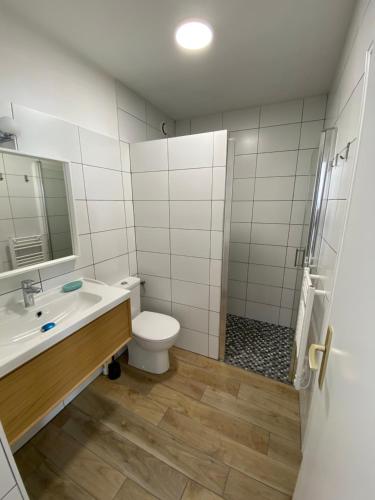 uma casa de banho com um WC, um lavatório e um chuveiro em COSY CONFORT LA PEROUSE 1A coeur de ville et plage em Concarneau