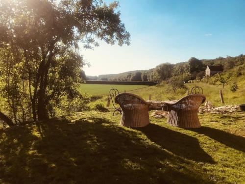 two wicker benches sitting in a field with a tree at Manoir de Pimelles-Bourgogne-Chablis-2h15 Paris in Pimelles
