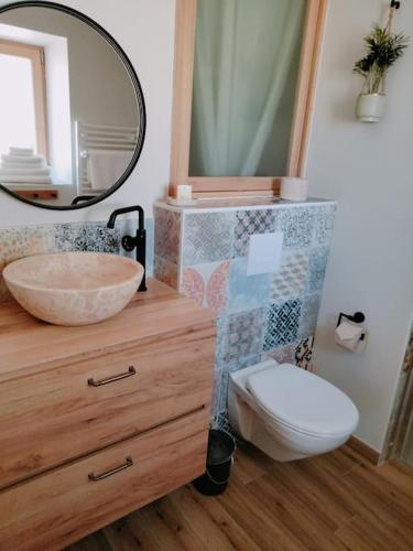 a bathroom with a sink and a toilet and a mirror at Maisonnette de charme A 5 min du Parc PUYDUFOU in Les Épesses