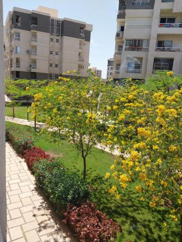 a garden with yellow flowers in front of buildings at شقه مفروش in Madinaty