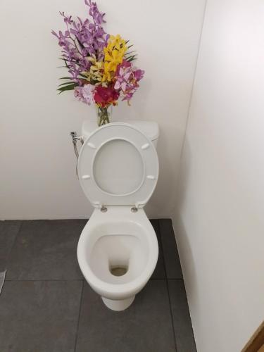 a bathroom with a toilet with a vase of flowers at TEMAEVA LODGE in Nuku Hiva
