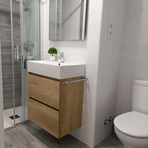 a bathroom with a sink and a toilet at Las Gaviotas Cudillero in Cudillero