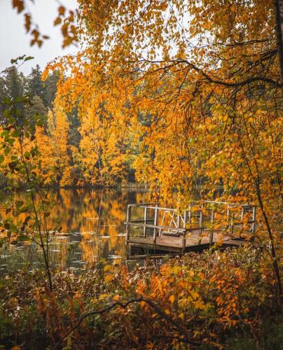 a small dock on a lake in the fall at Luxury Villa BestVillas Himos in Himos