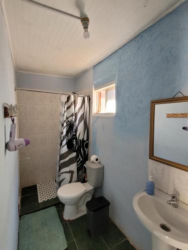a bathroom with a toilet and a sink at Hospedaje Rural Casa de Felix in San Pedro de Atacama