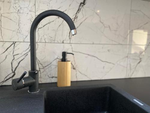a kitchen sink with a faucet and a soap dispenser at Apartament MALICIA in Puck