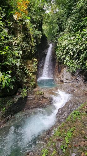 a waterfall in the middle of a river at Hotel Bahía Yubarta in Bahía Solano