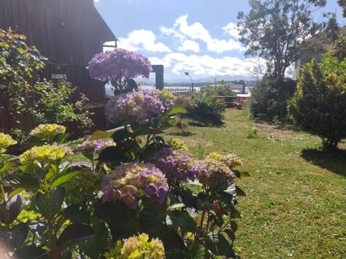 un jardín con flores púrpuras frente a un edificio en Hostal Florencia, en Puerto Varas