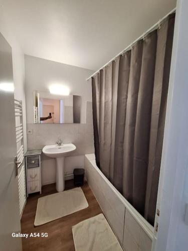 une salle de bain avec un lavabo et un rideau de douche dans l'établissement Appartement Chez A.S.Y., à Guérande