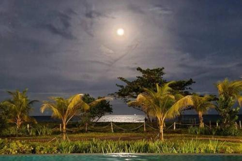 a full moon over the ocean and palm trees at 17 Riada Villa in San Juan