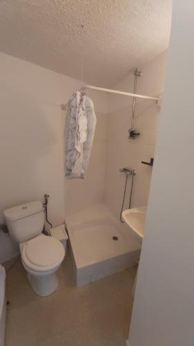 une salle de bain blanche avec des toilettes et un lavabo dans l'établissement Cosy studio centre-ville, balcon, à Nantes