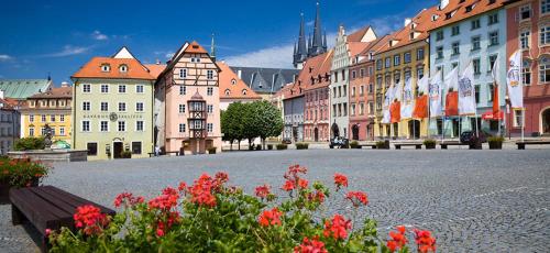 a city street with buildings and red flowers at Apartman Deluxe Cheb in Cheb
