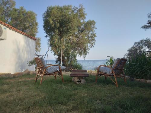 three chairs and a table in the grass near the water at All weather house in Elíka