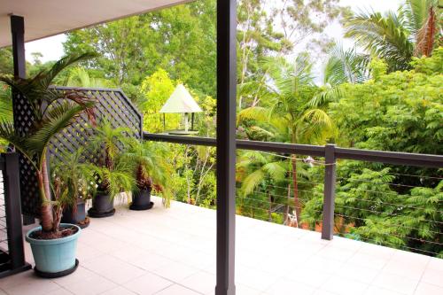 a view from the balcony of a house with palm trees at Bella Vista Bellingen in Bellingen