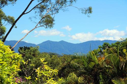 a view of the mountains from the forest at Bella Vista Bellingen in Bellingen