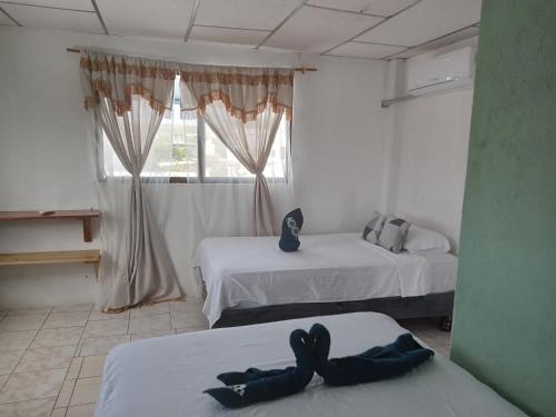 een kamer met 2 bedden en een raam bij Casa de Alexis in Puerto Baquerizo Moreno