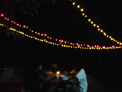 un grupo de personas sentadas en una mesa con luces en Little wood villa Doluwa en Kandy
