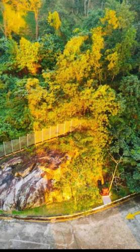 an overhead view of a hill with trees and a fence at Cinta Hati Homestay Crystal Creek Apartment Taiping in Taiping