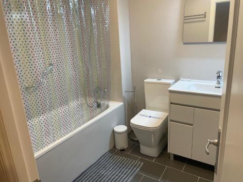 a bathroom with a shower and a toilet and a sink at Balcón del sella in Ribadesella